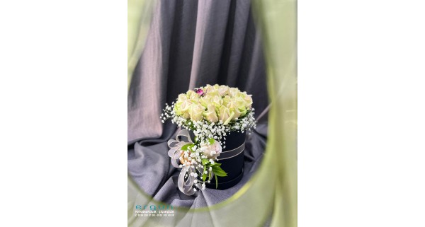 kukutasa beyaz  güller