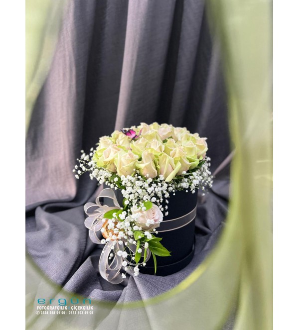 kukutasa beyaz  güller