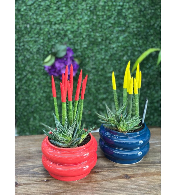 örgülü paşa kılıcı