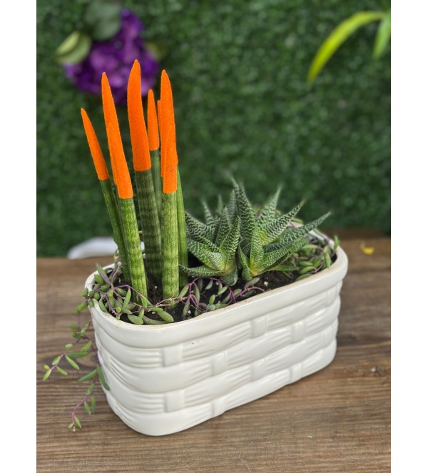 örgülü paşa kılıcı