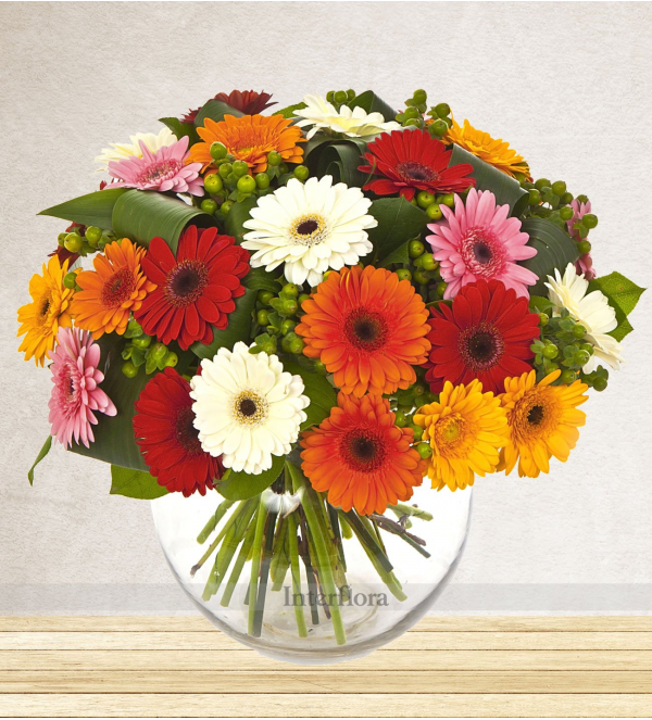 Karışık renkli Gerbera çiçekleri